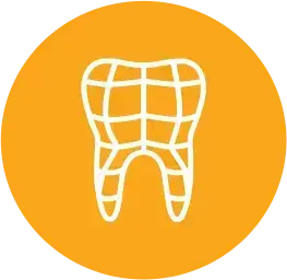 Tooth icon with grid pattern representing dental anatomy and oral health care.